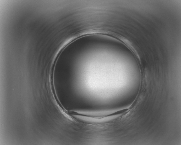 X0000062641197200512211156