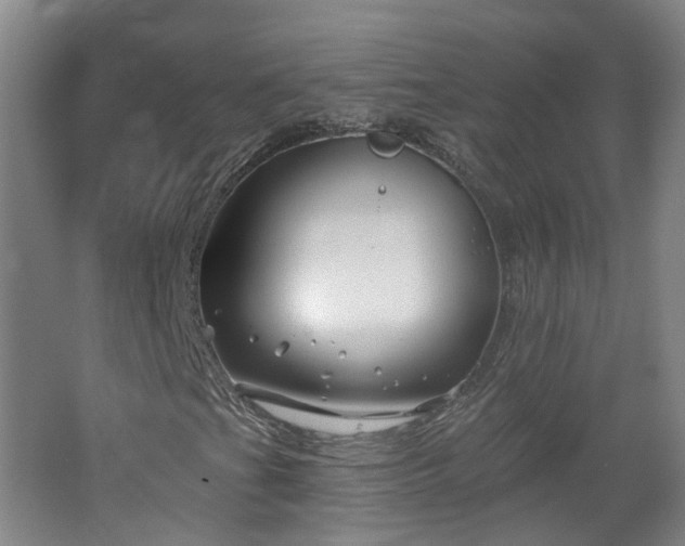 X0000062641201200512211155