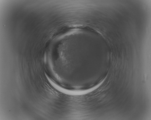 X0000062641202200512211155