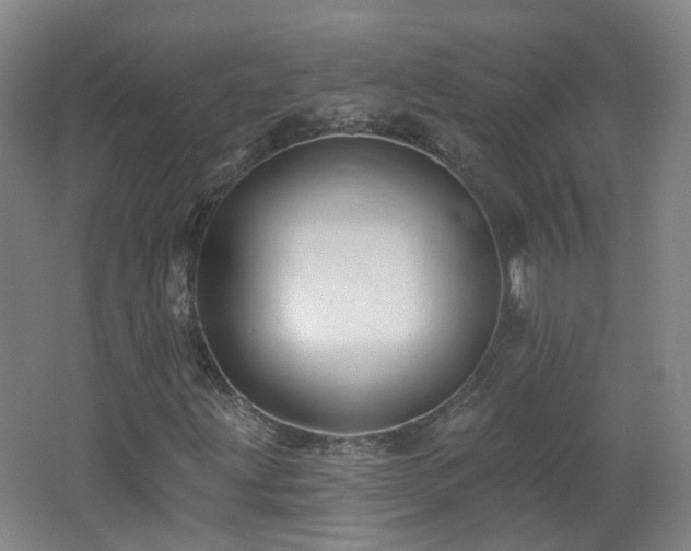 X0000062641203200512211155