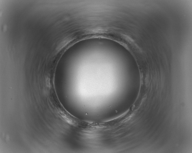 X0000062641209200512211155
