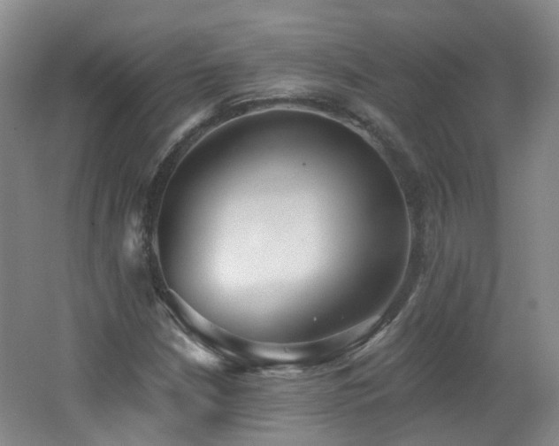 X0000062641210200512211155