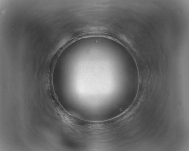 X0000062641211200512211155