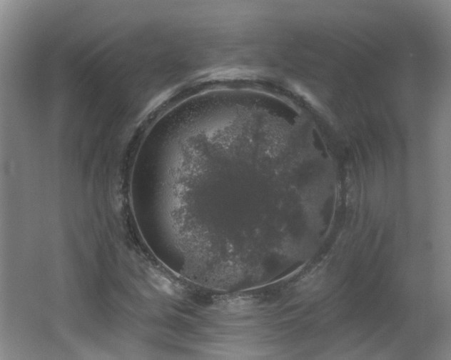 X0000062641213200512211155