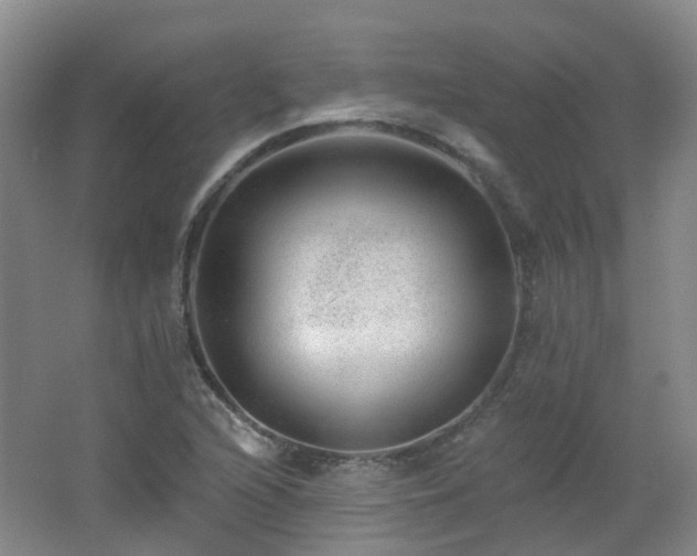 X0000062641216200512211155