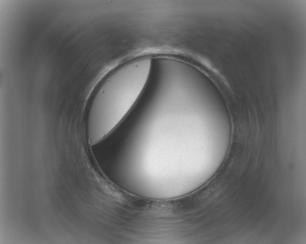 X0000062641221200512211155