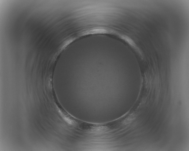 X0000062641225200512211155