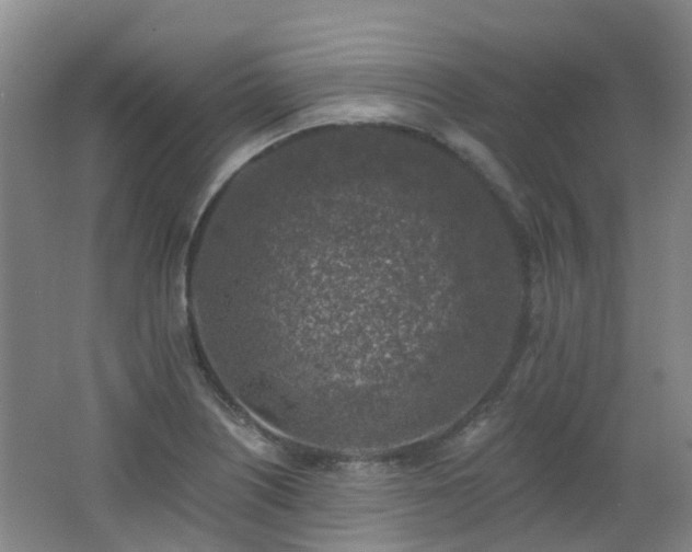 X0000062641226200512211155