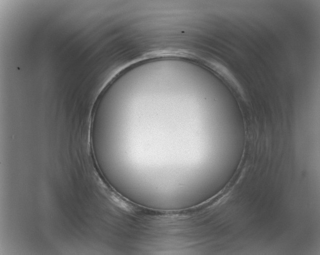 X0000062641228200512211155