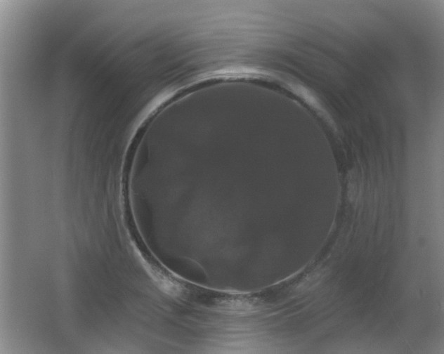 X0000062641229200512211155