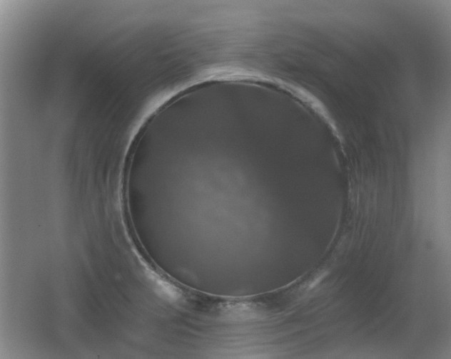 X0000062641231200512211155