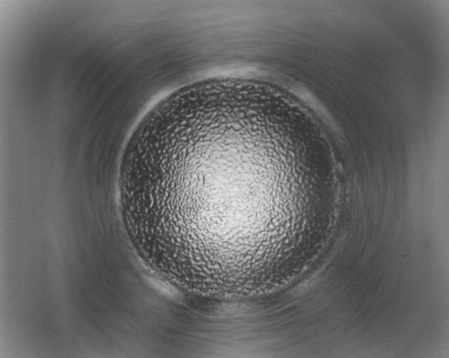 X0000062641232200512211155