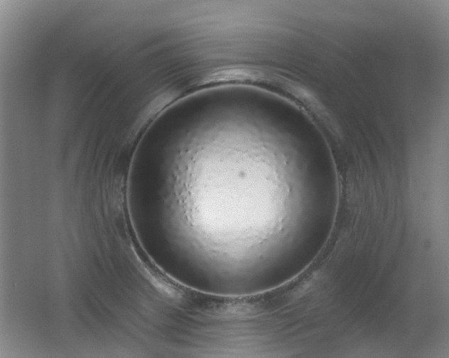 X0000062641233200512211155