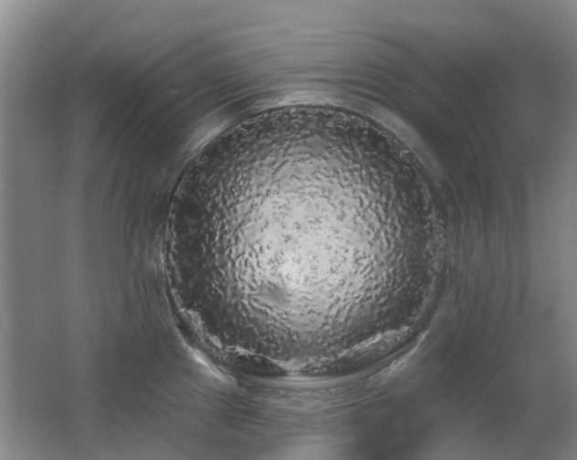 X0000062641241200512211155