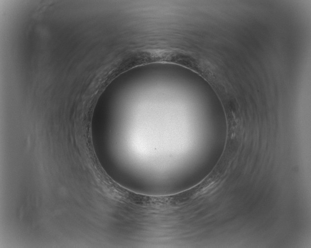 X0000062641249200512211155