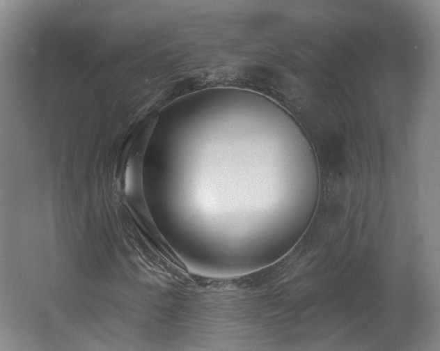 X0000062641250200512211155