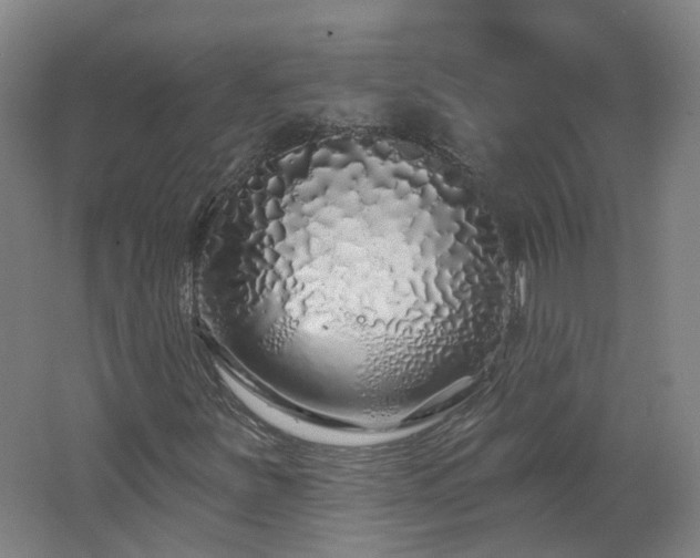 X0000062641251200512211155