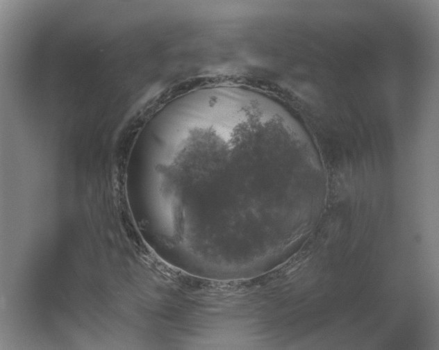 X0000062641254200512211155