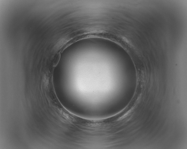 X0000062641257200512211154