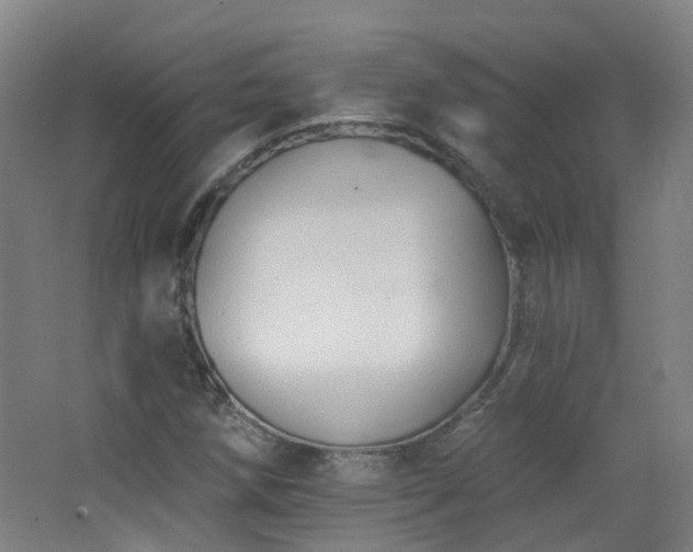 X0000062641258200512211154