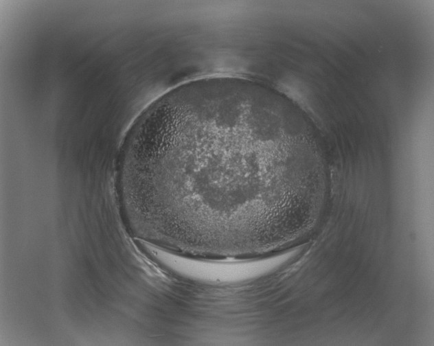 X0000062641260200512211154