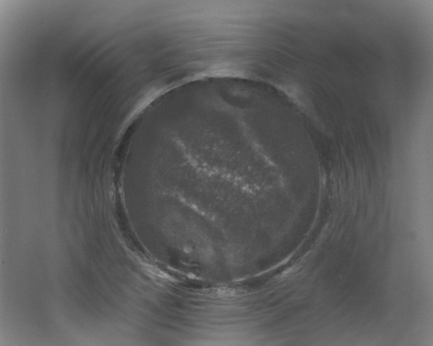 X0000062641266200512211154
