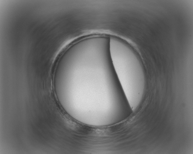 X0000062641271200512211154