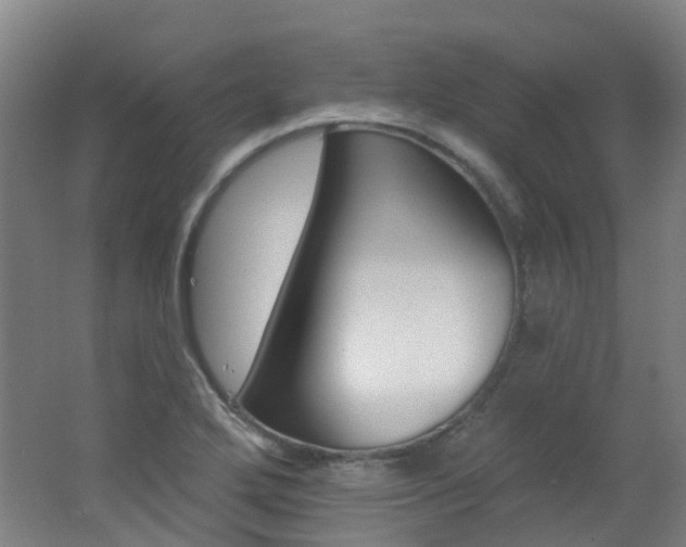 X0000062641272200512211154
