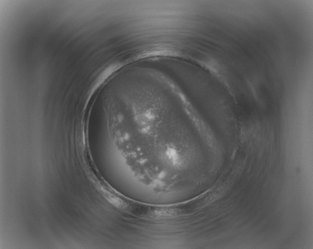 X0000062641274200512211154