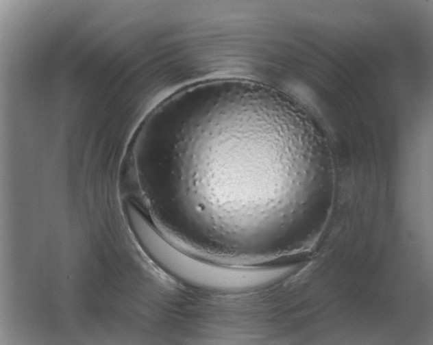 X0000062641284200512211154
