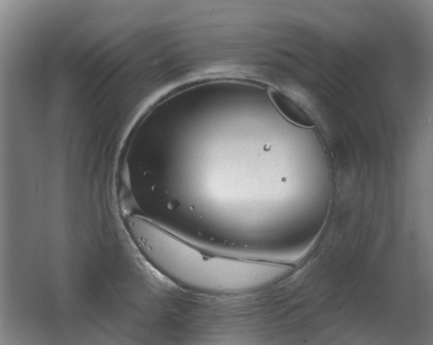 X0000062641288200512211154