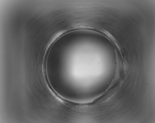 X0000062641293200512211154