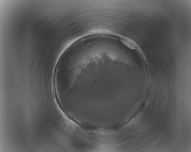 X0000062641295200512211154