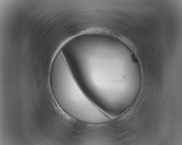X0000062641296200512211154