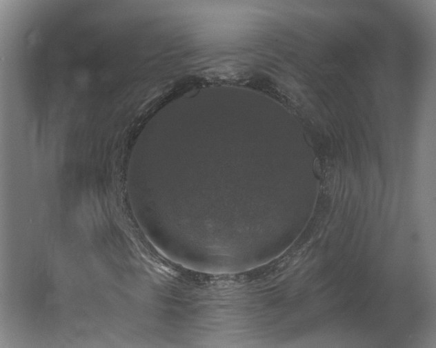 X0000062641297200512211153