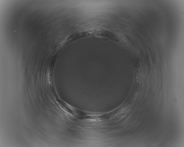 X0000062641298200512211153