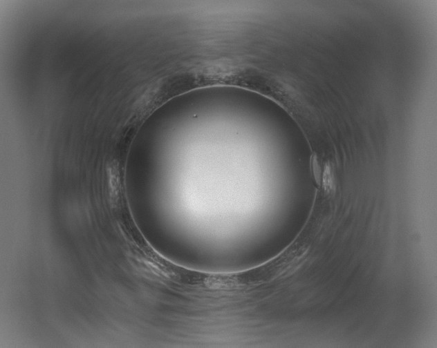 X0000062641299200512211153