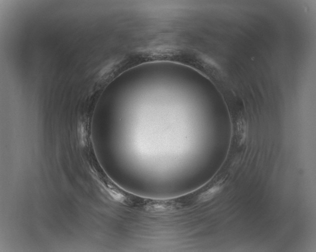 X0000062641300200512211153