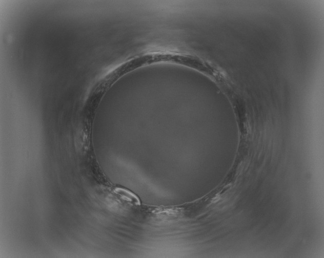 X0000062641303200512211153