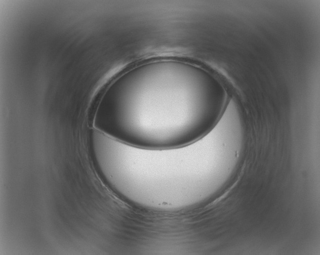 X0000062641317200512211153