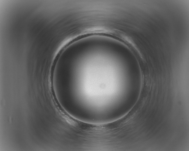 X0000062641328200512211153