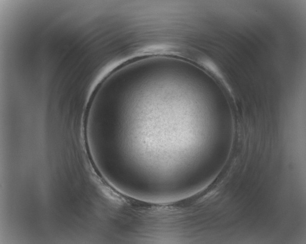 X0000062641336200512211154