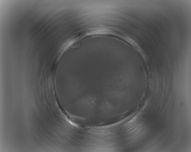 X0000062641337200512211154