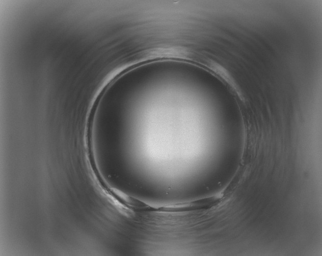 X0000062641339200512211154