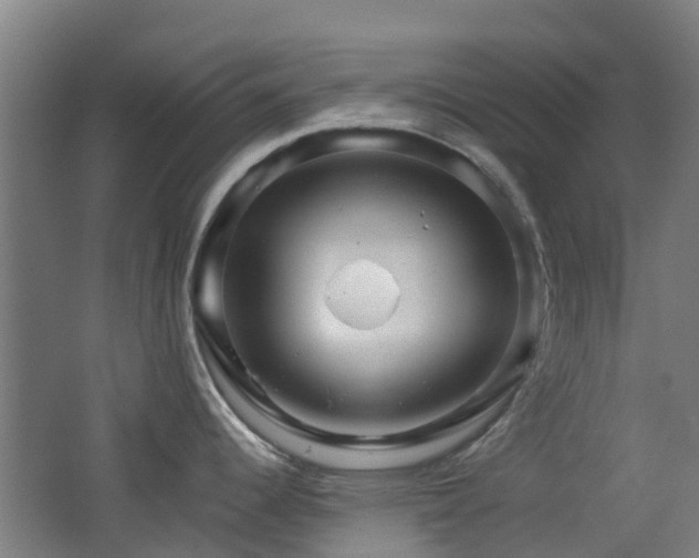 X0000062641344200512211154