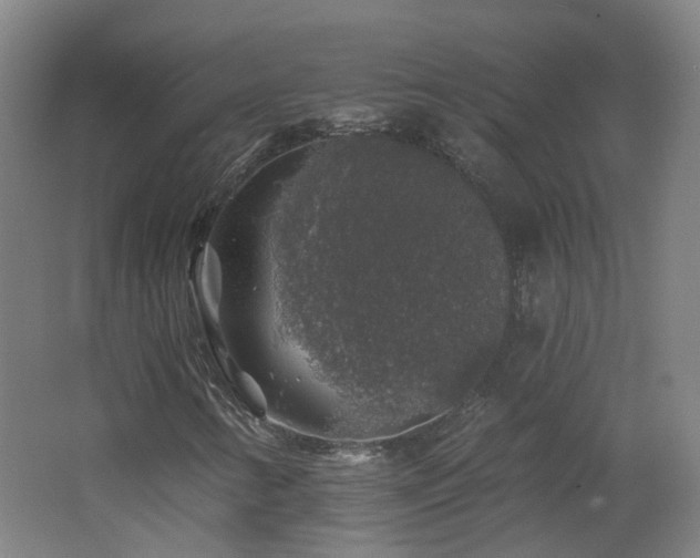 X0000062641346200512211153