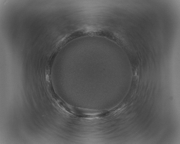 X0000062641348200512211153