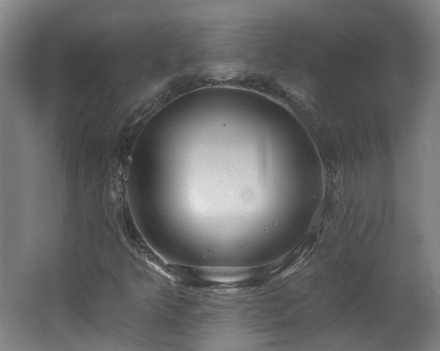 X0000062641349200512211153