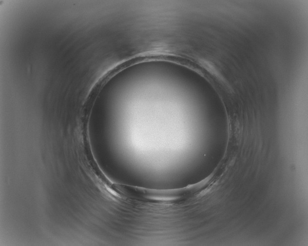 X0000062641356200512211153