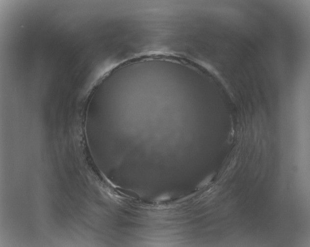X0000062641359200512211153